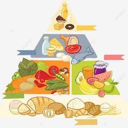 nutrisi yang sering terlupakan zona hidup sehat